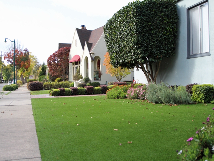 Artificial Grass Vincennes, Indiana Landscape Rock, Front Yard Landscaping Ideas