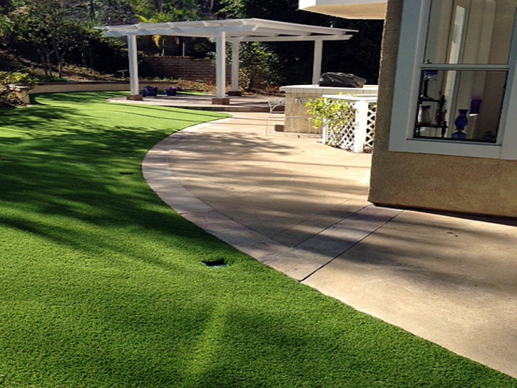 Artificial Grass Worthington, Indiana Pet Paradise, Front Yard Landscaping