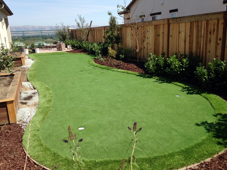 Artificial Lawn Avon, Indiana Putting Green, Backyard Garden Ideas