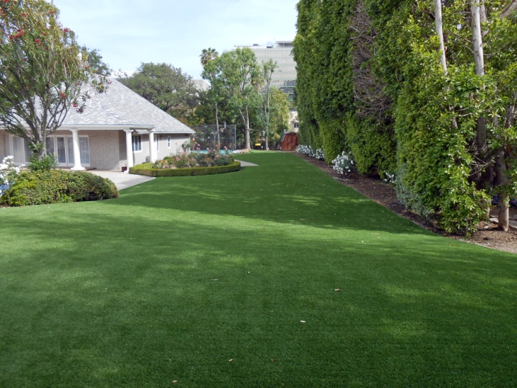 Artificial Lawn Ferdinand, Indiana Roof Top, Small Front Yard Landscaping