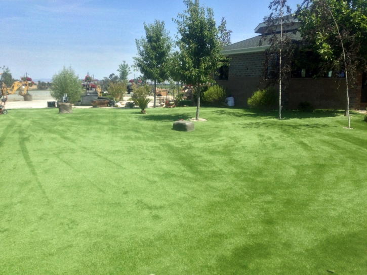 Artificial Lawn Flora, Indiana Landscape Rock, Parks