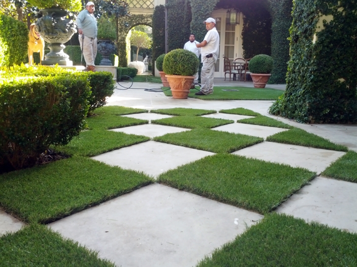 Artificial Lawn Greendale, Indiana Roof Top, Pavers