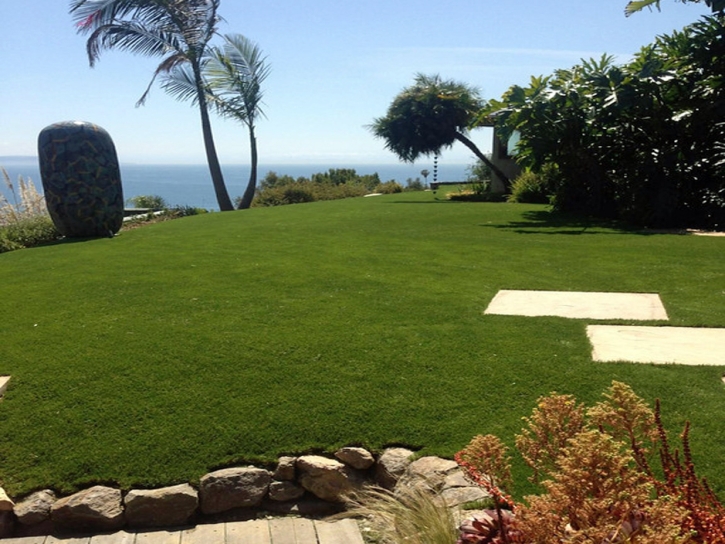 Artificial Lawn Lapel, Indiana Backyard Playground, Commercial Landscape