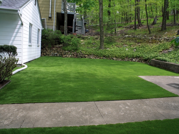 Artificial Lawn Loogootee, Indiana Lawns, Front Yard Ideas