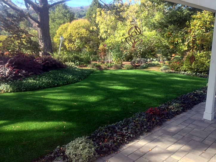 Artificial Lawn Otterbein, Indiana Landscape Ideas, Backyard Landscape Ideas