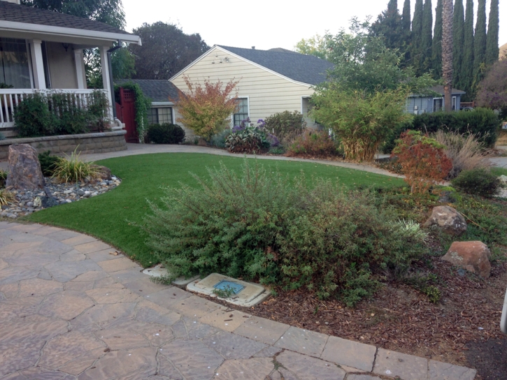 Artificial Lawn Winchester, Indiana Landscape Ideas, Front Yard