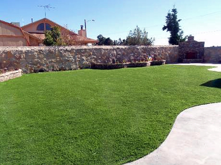 Artificial Turf Cost Argos, Indiana Design Ideas, Backyard Designs