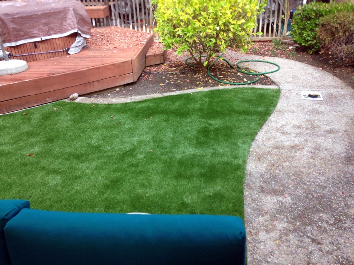 Artificial Turf Cost Palmyra, Indiana Home And Garden, Backyards