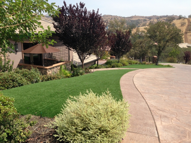 Artificial Turf Cost Sunman, Indiana Lawn And Garden, Front Yard Ideas