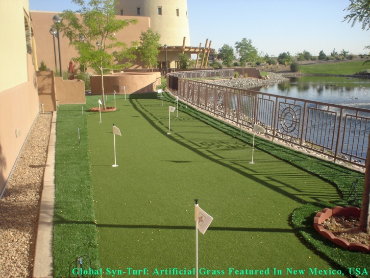 Artificial Turf Cost Warren Park, Indiana Backyard Putting Green, Backyard Landscaping Ideas