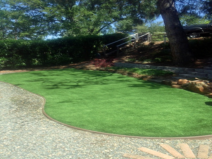 Artificial Turf Cost West College Corner, Indiana Lawn And Garden, Backyard Designs