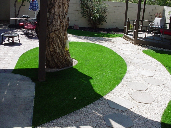 Artificial Turf Elnora, Indiana Landscaping, Backyard