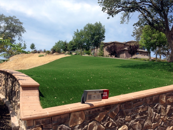 Artificial Turf Fishers, Indiana Lawns, Front Yard Landscape Ideas