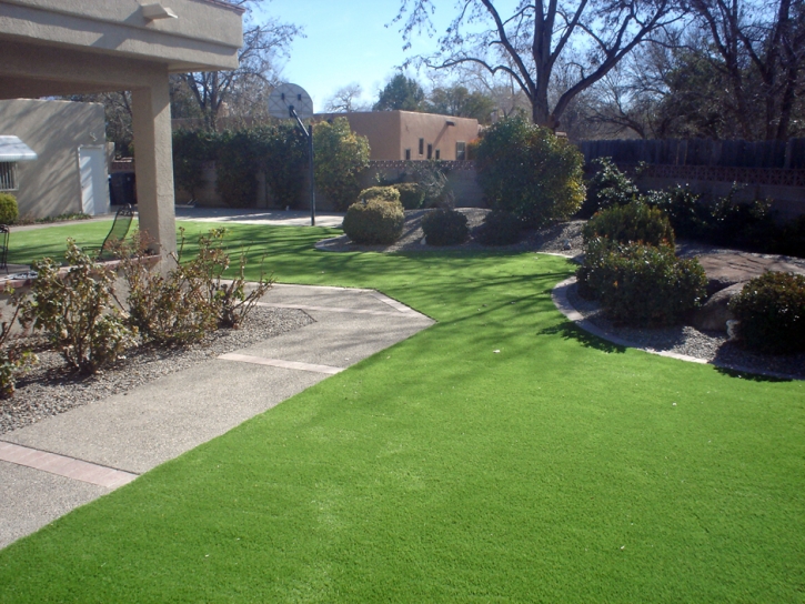 Artificial Turf Installation Atlanta, Indiana Lawns, Front Yard Ideas