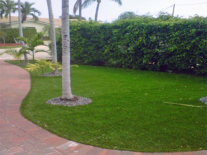 Artificial Turf Installation Linton, Indiana Gardeners, Front Yard Landscaping Ideas