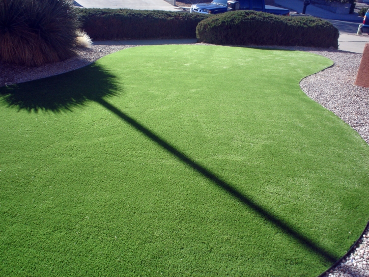 Artificial Turf Installation Shelburn, Indiana Design Ideas, Front Yard Landscaping Ideas