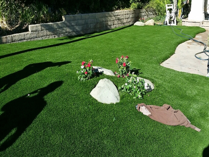 Artificial Turf Morgantown, Indiana Landscaping, Landscaping Ideas For Front Yard