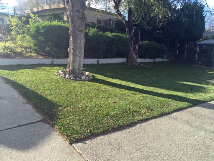 Artificial Turf Noblesville, Indiana Landscape Rock, Front Yard Design