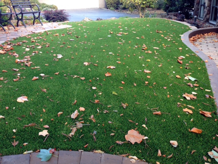 Artificial Turf Orleans, Indiana Backyard Deck Ideas, Front Yard Landscaping Ideas