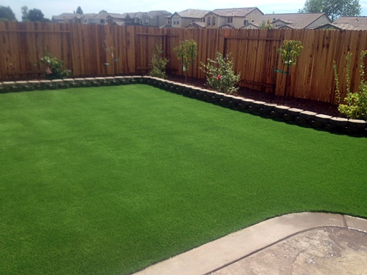 Artificial Turf Ridgeville, Indiana Lawn And Garden, Backyard Designs