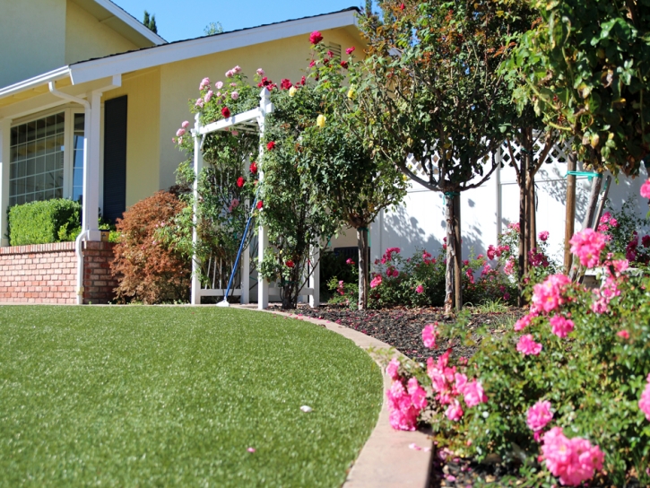 Artificial Turf Roachdale, Indiana Garden Ideas, Front Yard Design