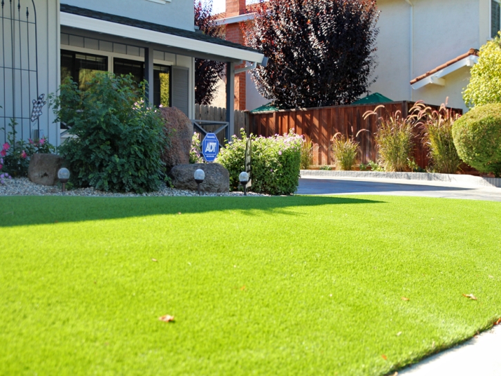 Best Artificial Grass Greensburg, Indiana Design Ideas, Front Yard