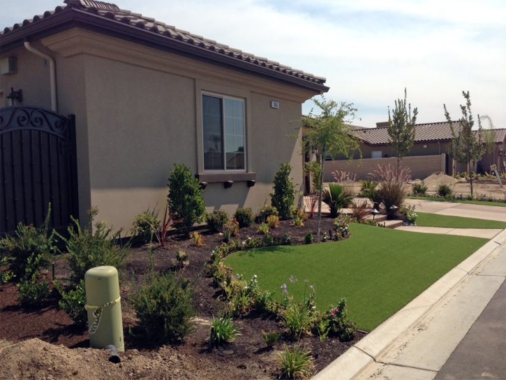 Best Artificial Grass Pierceton, Indiana Rooftop, Front Yard Ideas