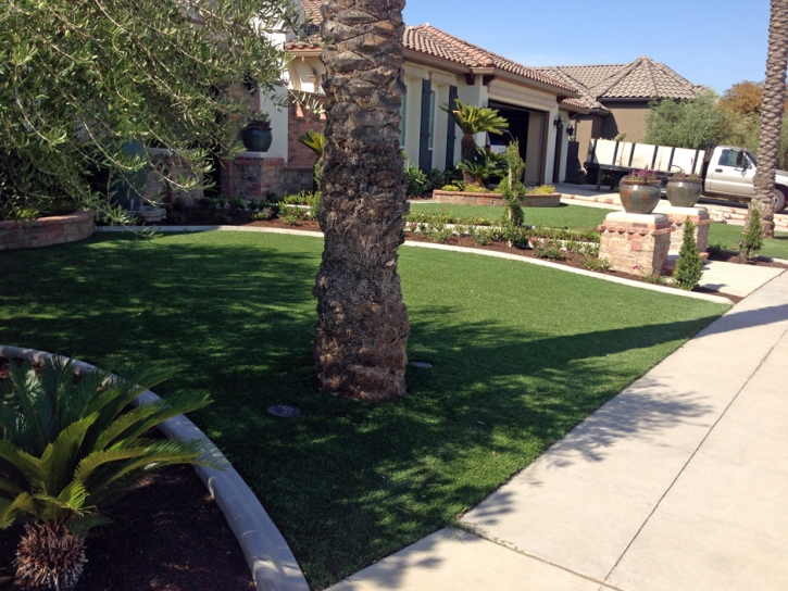 Best Artificial Grass Swayzee, Indiana Lawns, Front Yard Ideas