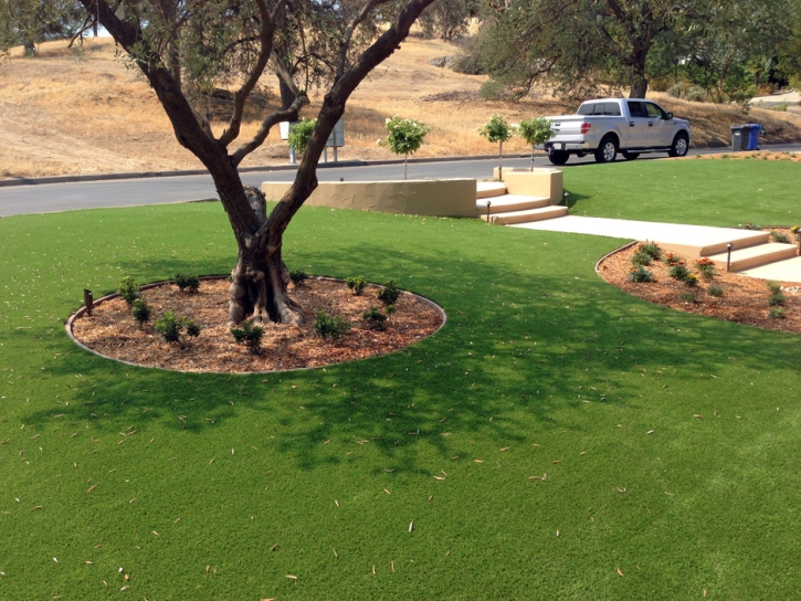 Best Artificial Grass Wheatfield, Indiana Rooftop, Front Yard Landscape Ideas