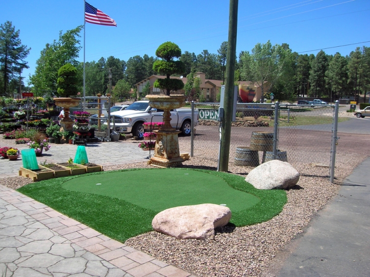 Fake Grass Carpet Bright, Indiana Outdoor Putting Green, Commercial Landscape