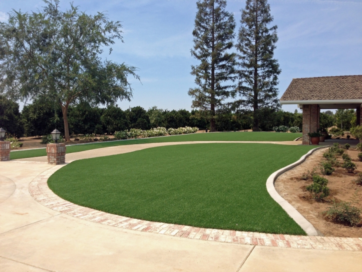 Fake Grass Carpet Brownsburg, Indiana Landscape Design, Landscaping Ideas For Front Yard