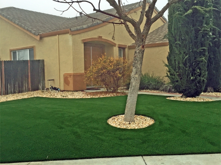 Fake Grass Carpet Colfax, Indiana Landscape Design, Front Yard Design