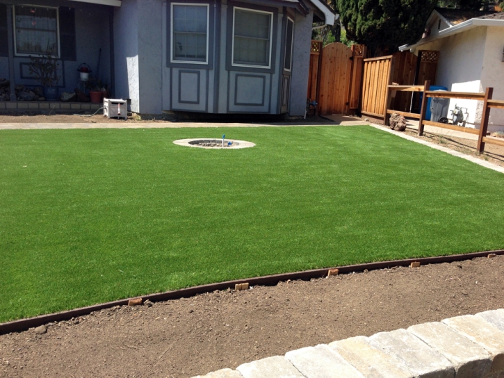 Fake Grass Carpet Covington, Indiana Landscape Ideas, Front Yard Landscaping Ideas