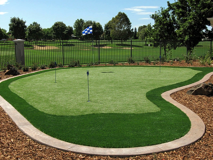 Fake Grass Carpet Homecroft, Indiana Roof Top, Backyard Ideas