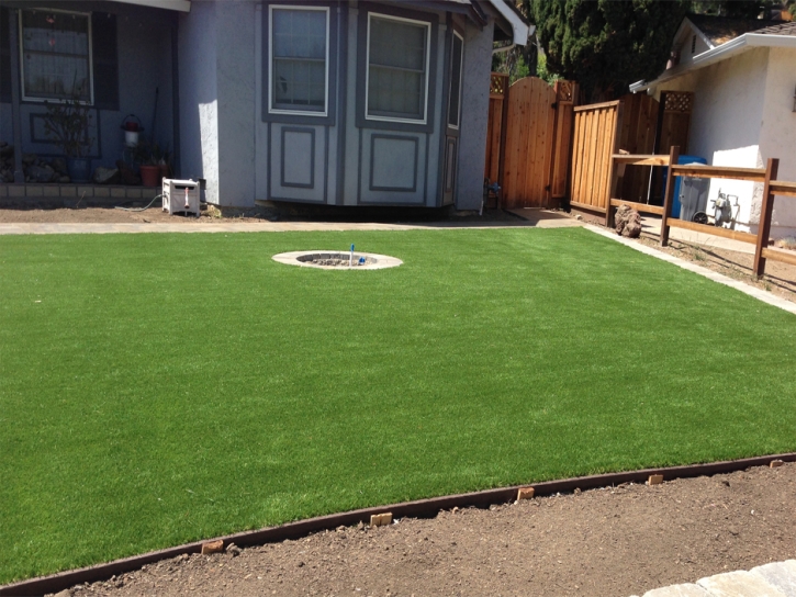 Fake Grass Carpet Hope, Indiana Landscape Design, Backyard Designs