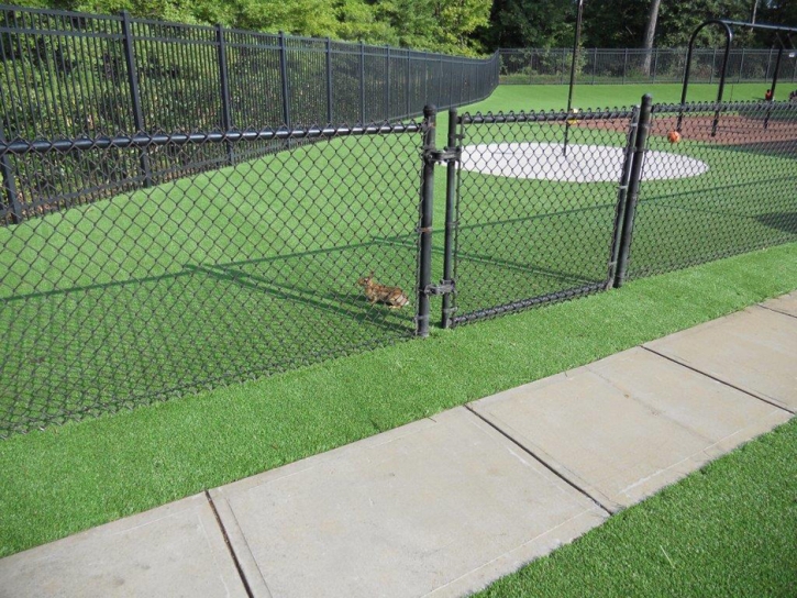 Fake Grass Carpet Montpelier, Indiana Kids Indoor Playground, Parks