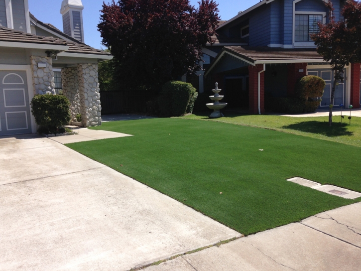 Fake Grass Carpet Mount Vernon, Indiana Paver Patio, Landscaping Ideas For Front Yard