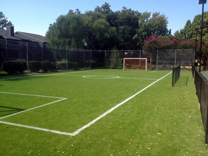 Fake Grass Carpet Mulberry, Indiana Backyard Soccer, Commercial Landscape