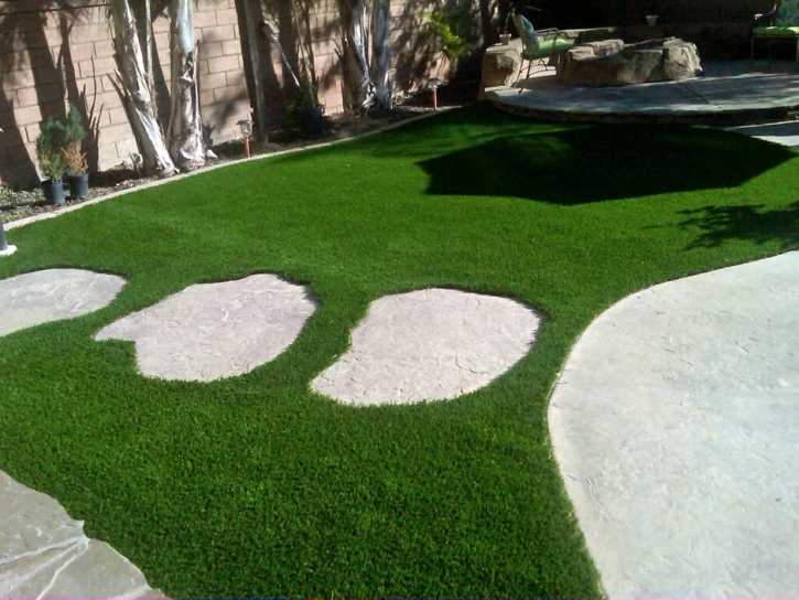 Fake Grass Carpet New Salisbury, Indiana Gardeners, Backyard Designs