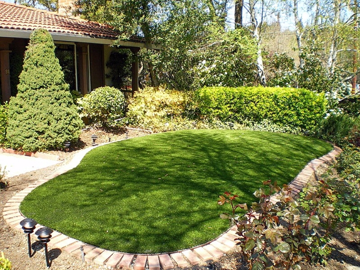 Fake Grass Carpet Roselawn, Indiana Landscaping Business, Backyard Garden Ideas