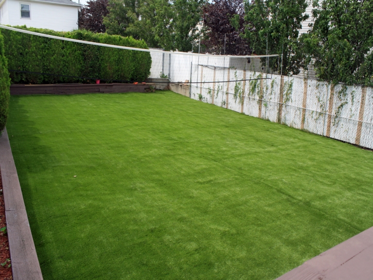 Fake Grass Carpet Scottsburg, Indiana Rooftop, Backyard Design