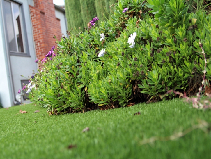 Fake Grass Carpet Sellersburg, Indiana Home And Garden, Front Yard Landscaping