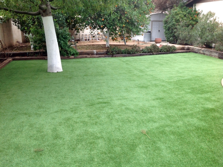 Fake Grass Carpet Trafalgar, Indiana Backyard Playground, Backyard Landscaping Ideas