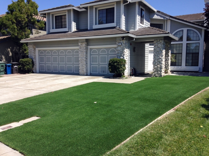 Fake Grass Carpet Walton, Indiana City Landscape, Front Yard Landscaping Ideas