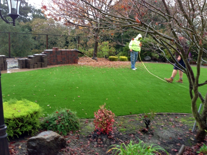 Fake Grass Centerville, Indiana Lawn And Garden, Backyard Landscaping