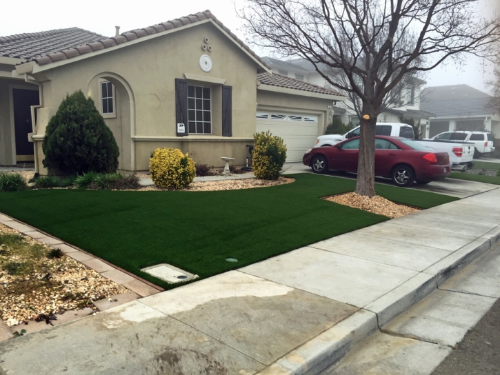 Fake Grass Frankfort, Indiana Gardeners, Front Yard