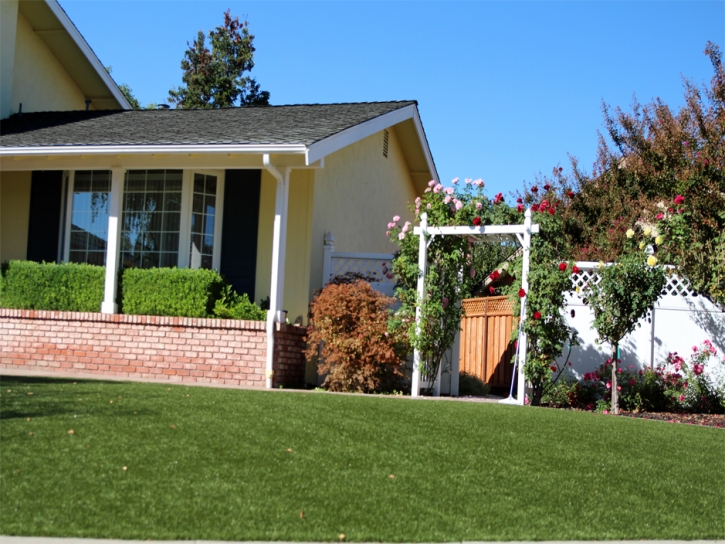 Fake Grass Kirklin, Indiana Lawns, Front Yard Landscaping Ideas