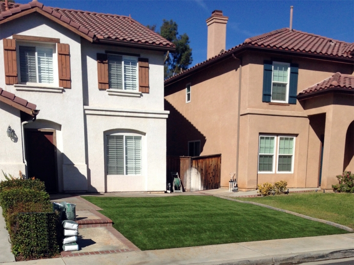 Fake Grass Milford, Indiana Rooftop, Front Yard Ideas