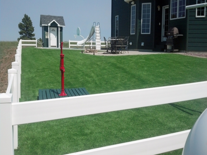 Fake Grass Milltown, Indiana Landscaping Business, Front Yard Ideas