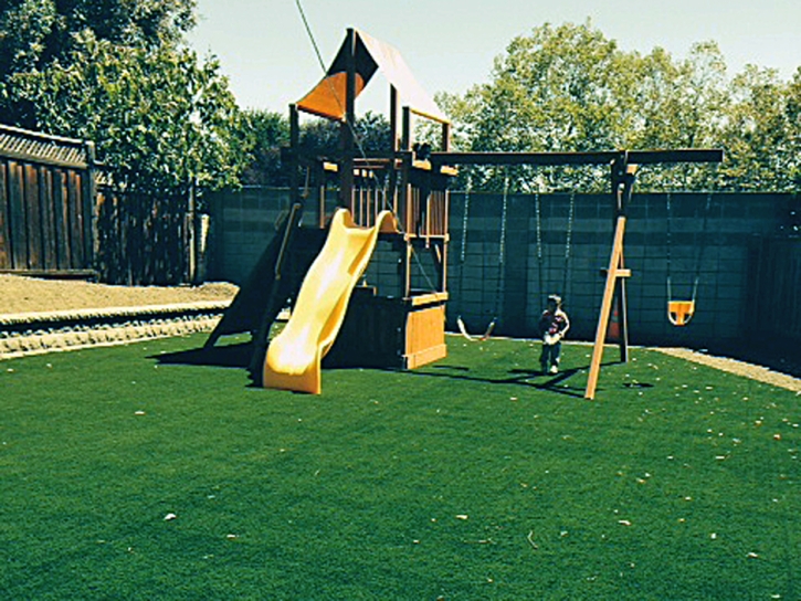 Fake Grass Petersburg, Indiana Garden Ideas, Backyard Landscaping Ideas